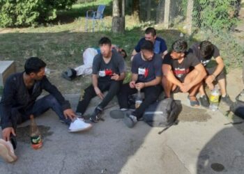 Shtatë emigrantë të fshehur në një kamion zbulohen nga policia serbe