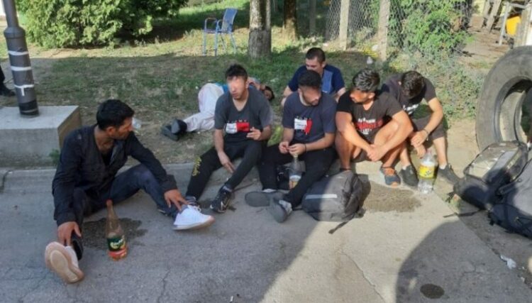 Shtatë emigrantë të fshehur në një kamion zbulohen nga policia serbe