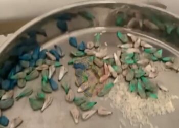 Sekuestrohet kokainë dhe heroinë në Durrës, dy të arrestuar