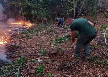 Zjarret në Shqipëri/ Mbetet situata kritike në Majën e Rrunës dhe pyjet e Rrajcës