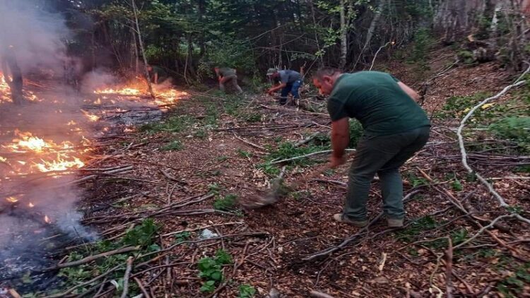 Zjarret në Shqipëri/ Mbetet situata kritike në Majën e Rrunës dhe pyjet e Rrajcës