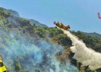 Situata nga zjarret në Itali, Kalabria dhe Siçilia kërkojnë të shpallet gjendja e jashtëzakonshme