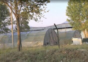 300 afganë mbërrijnë sot në vendin tonë, ngrihen tendat në Rinas për kontrollin mjekësor të tyre