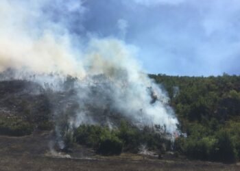 Parku Kombëtar i Prespës nën pushtetin e flakëve, terreni i thyer vështirëson ndërhyrjen