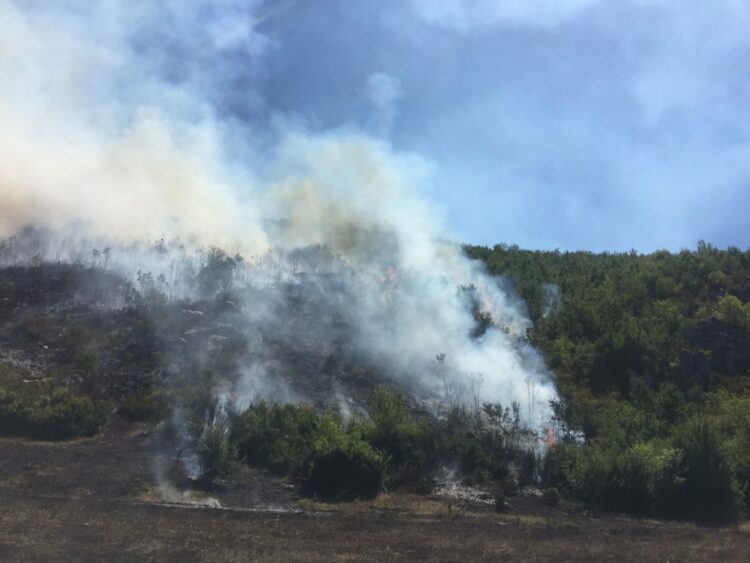 Parku Kombëtar i Prespës nën pushtetin e flakëve, terreni i thyer vështirëson ndërhyrjen