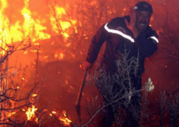 Italia vazhdon të digjet, zjarret kërcënojnë shtëpitë, evakuohen banorët në jug