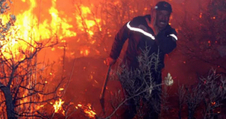 Italia vazhdon të digjet, zjarret kërcënojnë shtëpitë, evakuohen banorët në jug