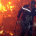 Italia vazhdon të digjet, zjarret kërcënojnë shtëpitë, evakuohen banorët në jug