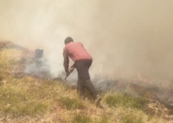 Flakët pranë fshatit të Surroit në Kukës, ndërhyhet me helikopter për neutralizimin e zjarrit