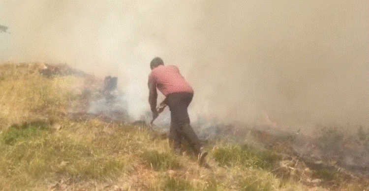 Flakët pranë fshatit të Surroit në Kukës, ndërhyhet me helikopter për neutralizimin e zjarrit