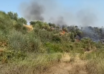Zjarr në pusin e naftës në Patos, flakët djegin ullishtet pranë zonës