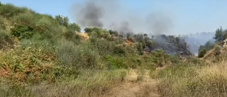 Zjarr në pusin e naftës në Patos, flakët djegin ullishtet pranë zonës