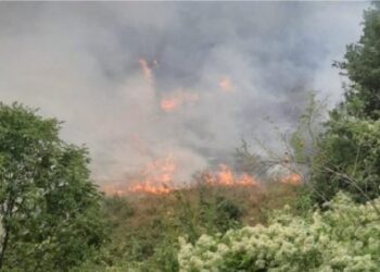 Zjarret në vend/ Vijon të digjet prej ditësh Maja e Rrunës në Kukës, pritet helikopteri për ndërhyrje
