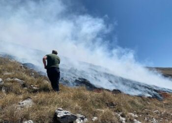Zjarr në tokat bujqësore në Devoll, banorët të alarmuar