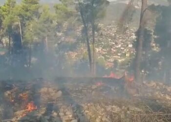 Riaktivizohet zjarri në Berat, flakët shkrumbojnë 7 hektarë me pisha e shkurre