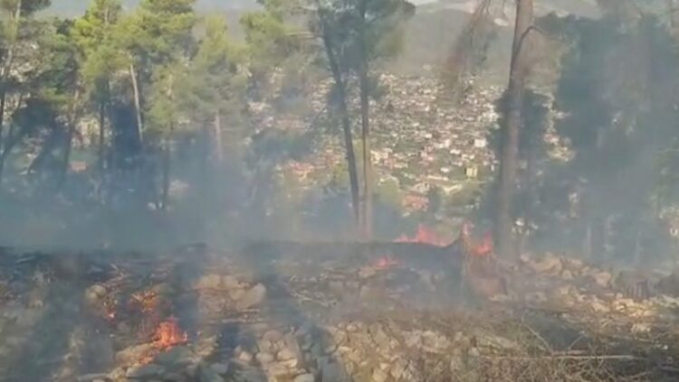 Riaktivizohet zjarri në Berat, flakët shkrumbojnë 7 hektarë me pisha e shkurre