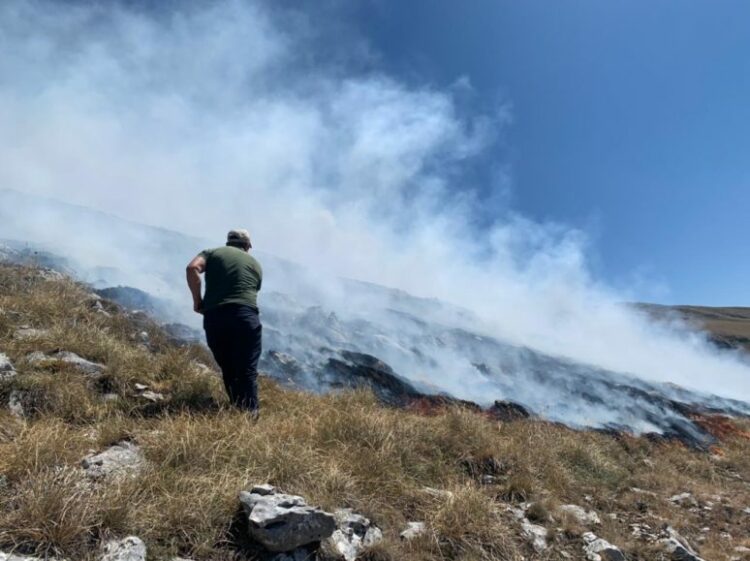Zjarr në tokat bujqësore në Devoll, banorët të alarmuar