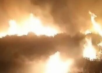 Kritike situata e zjarreve në Vlorë, riaktivizohen flakët në Tragjas