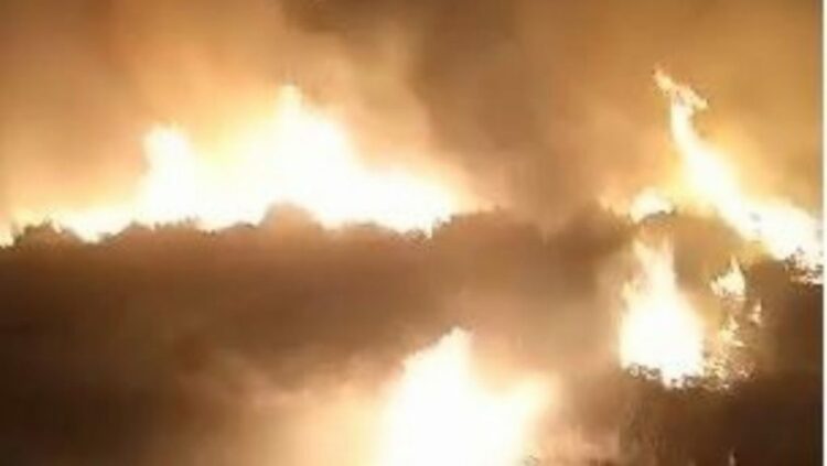 Kritike situata e zjarreve në Vlorë, riaktivizohen flakët në Tragjas