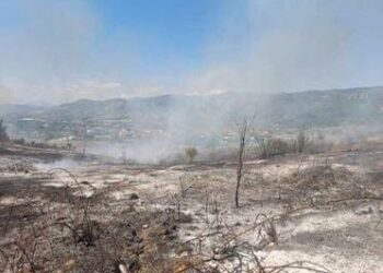 Zjarret në vend/ Peleshi: Kritike situata në Karaburun dhe Kurbin