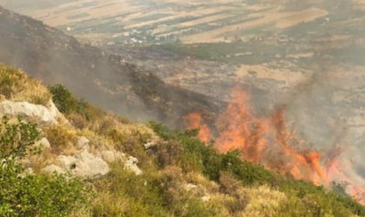 Zjarri i fuqishëm në Gadishullin e Karaburunit, 500 efektivë të Forcave të Armatosura në luftë me flakët