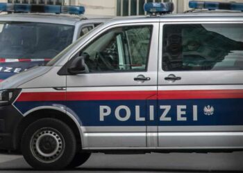 E rëndë në Austri, mbajti nënën e vdekur prej një viti në bodrum, merrte pensionin e saj pasi ishte i papunë