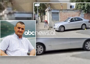 Plagoset me armë zjarri ish-kreu i PS në Vaun e Dejës