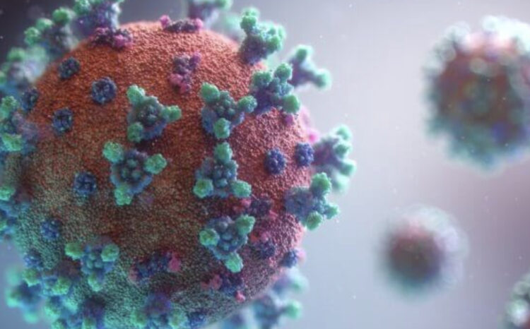 Studimi: Ashpërsia e sëmundjes së Covid-19, mund të varet nga nivelet e këtij elementi