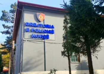 Iu ofroi ndihmë 17 emigrantëve të paligjshëm për të kaluar kufirin kundrejt pagesës, arrestohet 34-vjeçari