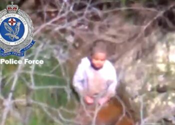 VIDEO/ Fëmija 3 vjeç gjendet pas 4 ditësh në pyll, pinte ujë në përrua