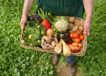 200 kompani shqiptare marrin certifikatën për prodhime organike