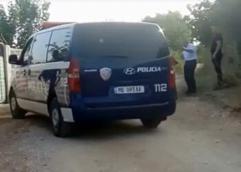 Plagosja në Lushnjë/ 65-vjeçari u plagos me kallashnikov nga vëllai i tij, policia arreston autorin