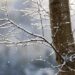 FOTO/ Temperatura të ulta në Kosovë, bora e parë mbulon Rugovën