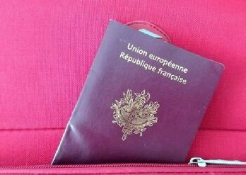 Punuan në Francë gjatë periudhës së pandemisë, 12 mijë punonjës të huaj shpërblehen me nënshtetësi franceze