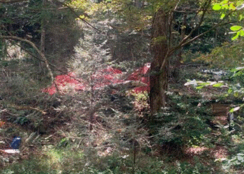 Rrëzohet avioni në SHBA, vdesin të tre personat në bord