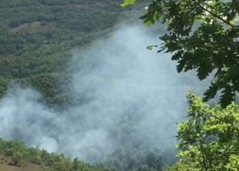 Zjarri masiv në Vlorë/ Vihen në pranga 2 punonjës pastrimi, nën hetim një 14-vjeçar