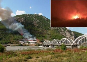 Lezhë/ Shkrumbohet stalla pranë “Urës me Harqe”, zjarri vijon të djegë pyllin