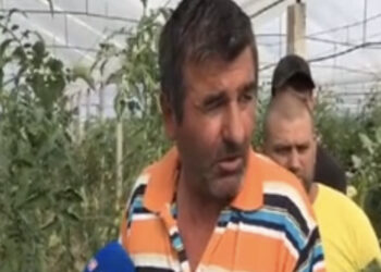 Protesta për fidanët/ Fermerët në Fier hedhin prodhimet në rrugë: Ministria të na dëgjojë