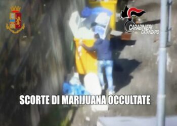 “Drogën e fshihnin pas koshit të mbeturinave”/ Arrestohen 21 persona në Itali, lëndën narkotike ua siguronin shqiptarët