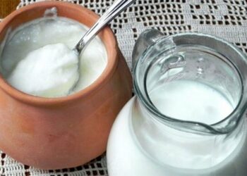 Qumështi apo kosi, cili është më i mirë për mëngjes?