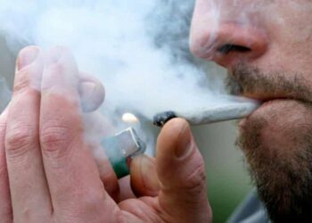 Ky vend legalizoi rritjen dhe përdorimin e kanabisit në shtëpi