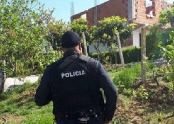 LAJM I FUNDIT/ Operacion anti-drogë në Lezhë, në shtëpinë e braktisur gjenden rreth 50 kg kanabis