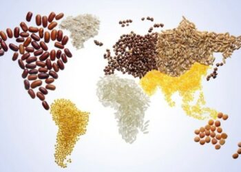 FAO: Çmimet e ushqimeve në botë arrijnë nivelin më të lartë në 10 vjet