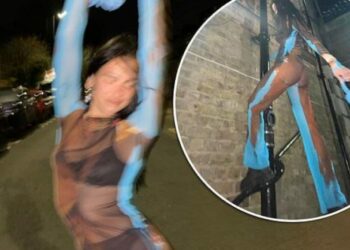 Me veshje të çuditshme dhe gati tërësisht transparente, Dua Lipa merr vëmendjen rrugëve të Londrës