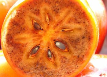 Hurmat janë të mrekullueshme për shëndetin, 7 arsye pse këtë periudhë duhet t’i konsumoni shpesh