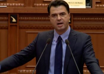 Basha: 5 shtete nuk duan që t’i hapin negociatat me Shqipërinë