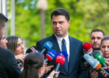 Basha: Do nxisim e mbështesim të gjitha format e reagimit popullor, Fatkeqësi që vjen nga keqqeverisja e korrupsioni