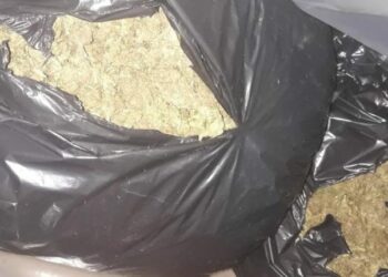 Sekuestrohen 5.4 kg kanabis në një banesë në Vlorë, arrestohet 25-vjeçari