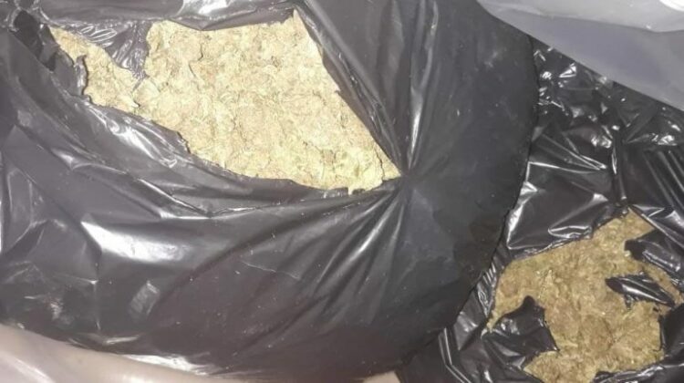 Sekuestrohen 5.4 kg kanabis në një banesë në Vlorë, arrestohet 25-vjeçari