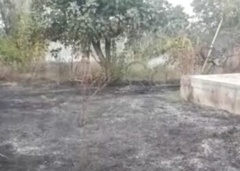 Zjarr në Fushë-Mamurras, rrezikohen disa banesa